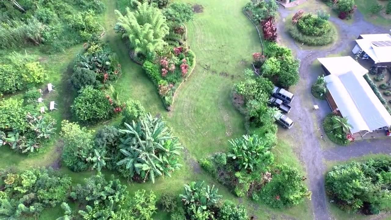 Hawaiian Sanctuary Eco Retreat Center Pahoa Exterior foto